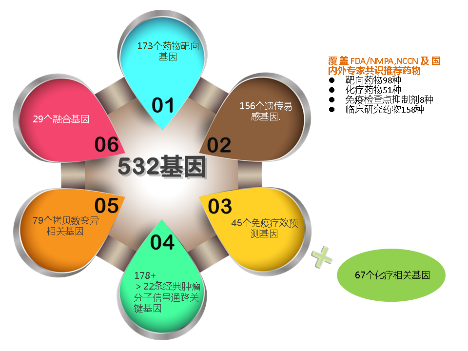 肿瘤个体化治疗592基因检测服务(综合版)